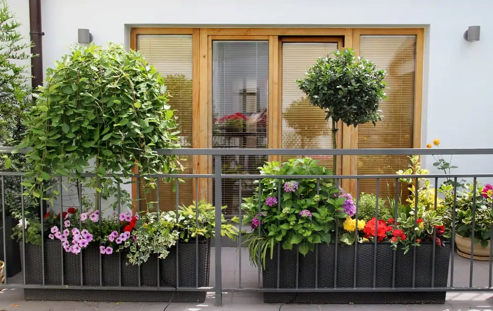 Beautiful modern terrace with a lot of flowers and herbs