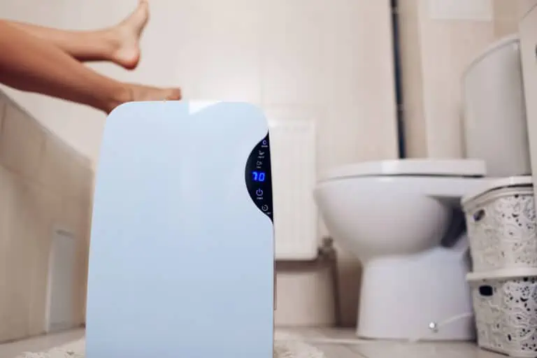 5 Best Small Dehumidifiers for Small Bathrooms (Our 2023 Top Picks)
